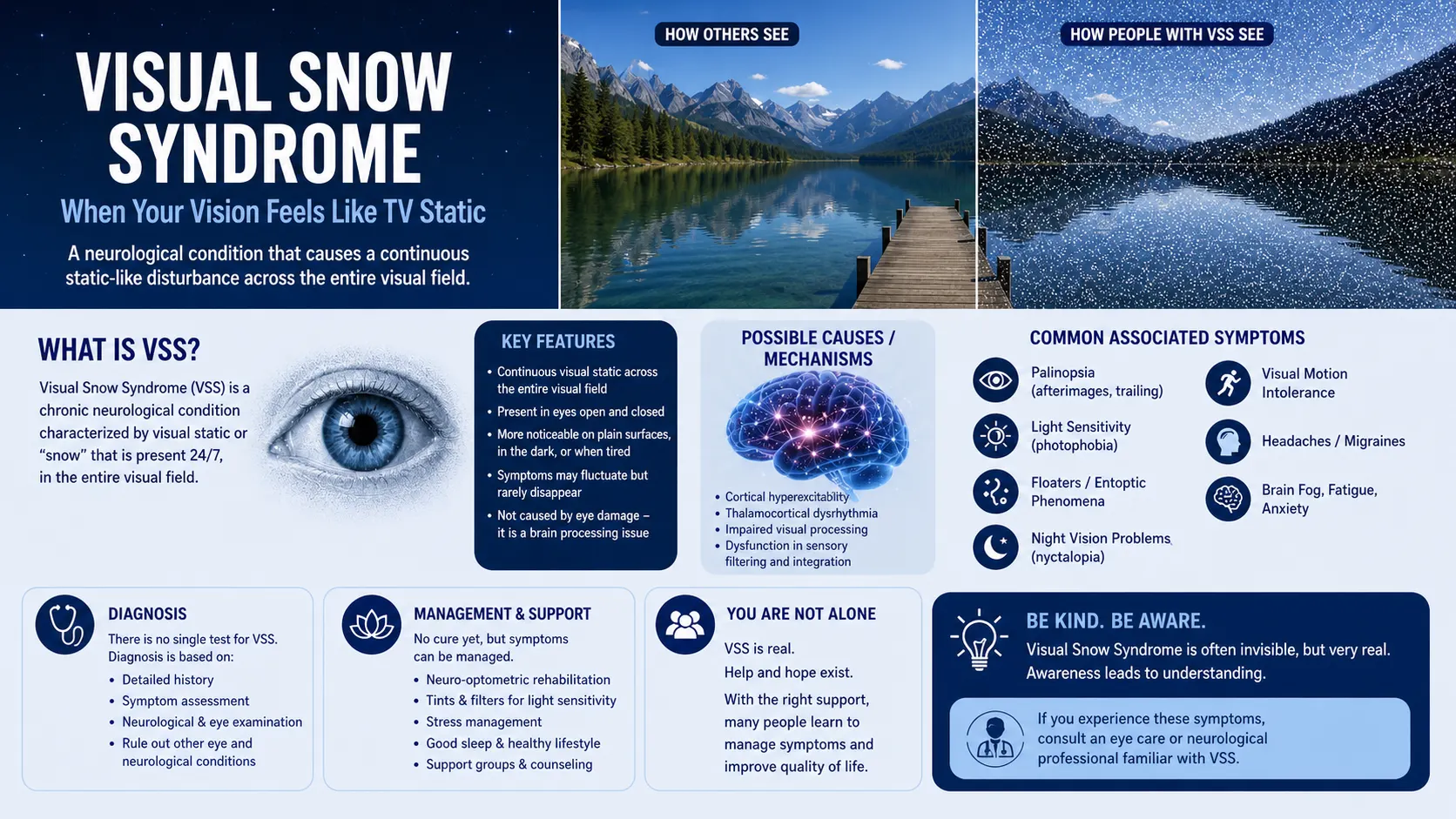 Neuro Optometric Rehabilitation Therapy (NORT) for Visual Snow Syndrome